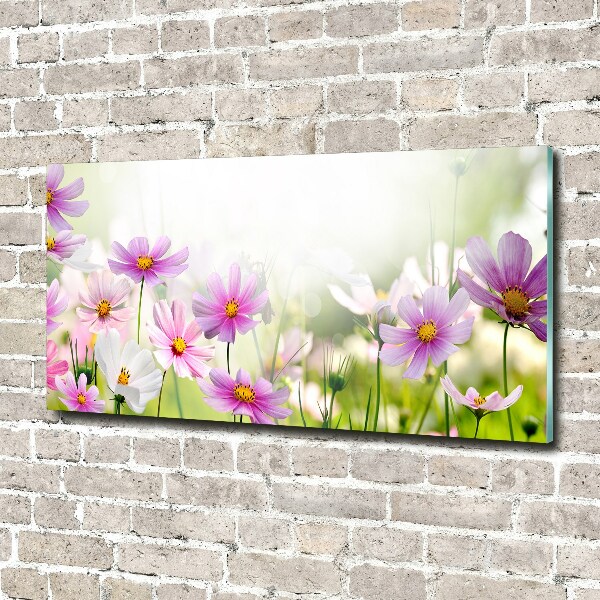 Print on acrylic Flowers in the meadow