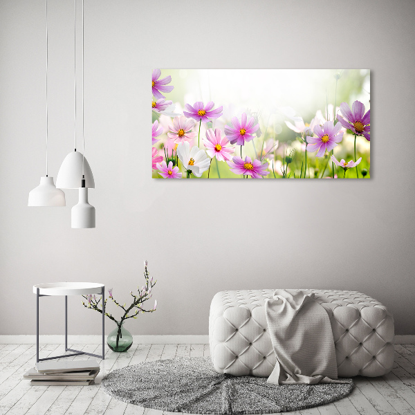 Print on acrylic Flowers in the meadow