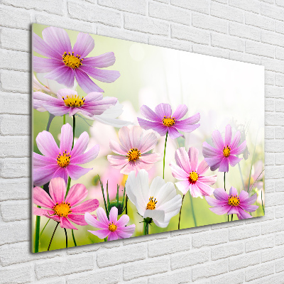 Print on acrylic Flowers in the meadow