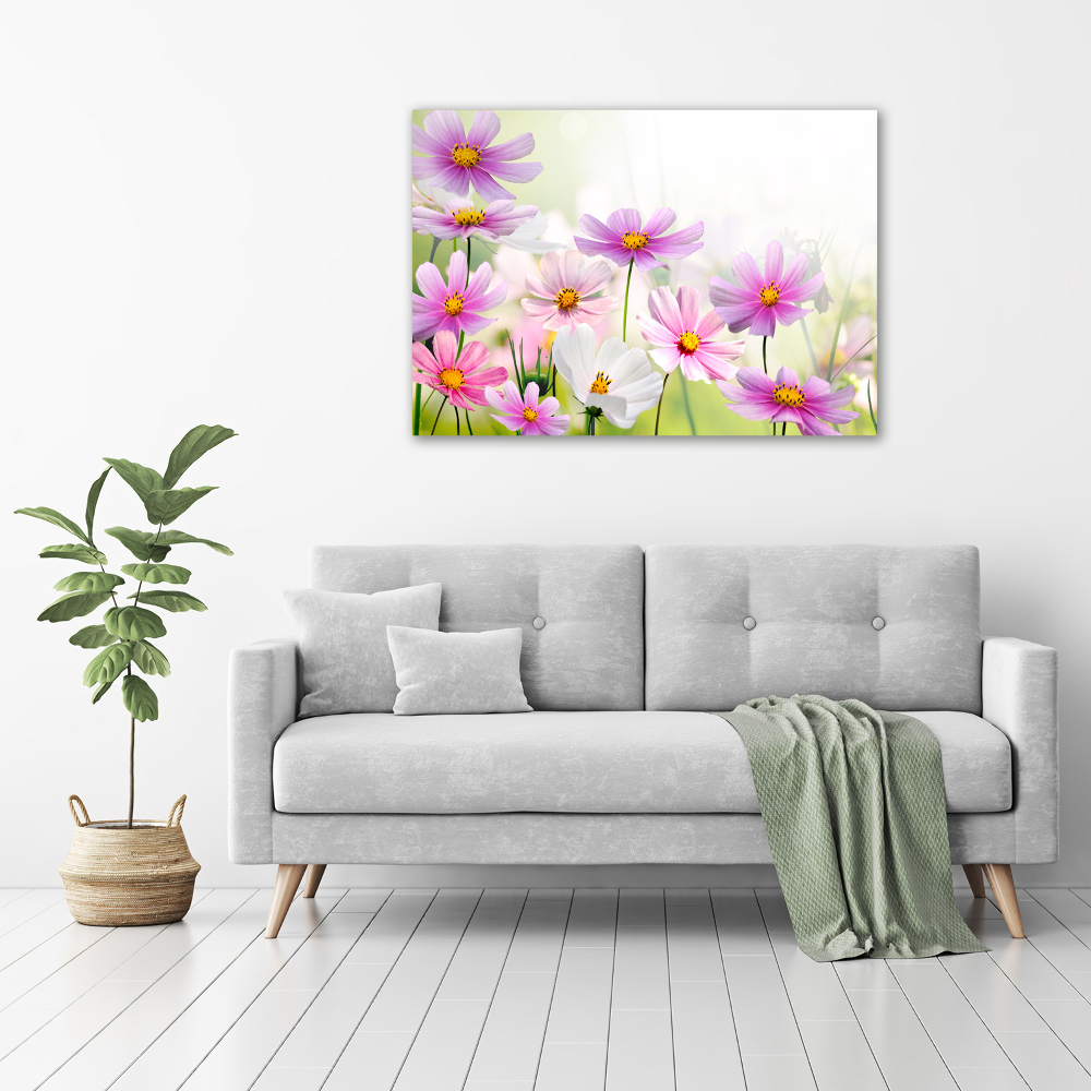 Print on acrylic Flowers in the meadow