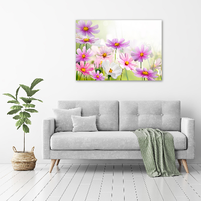 Print on acrylic Flowers in the meadow