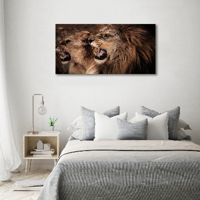 Print on acrylic Roaring lions