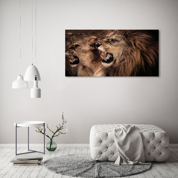 Print on acrylic Roaring lions