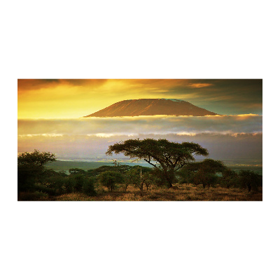 Print on acrylic Kilimanjaro Kenya