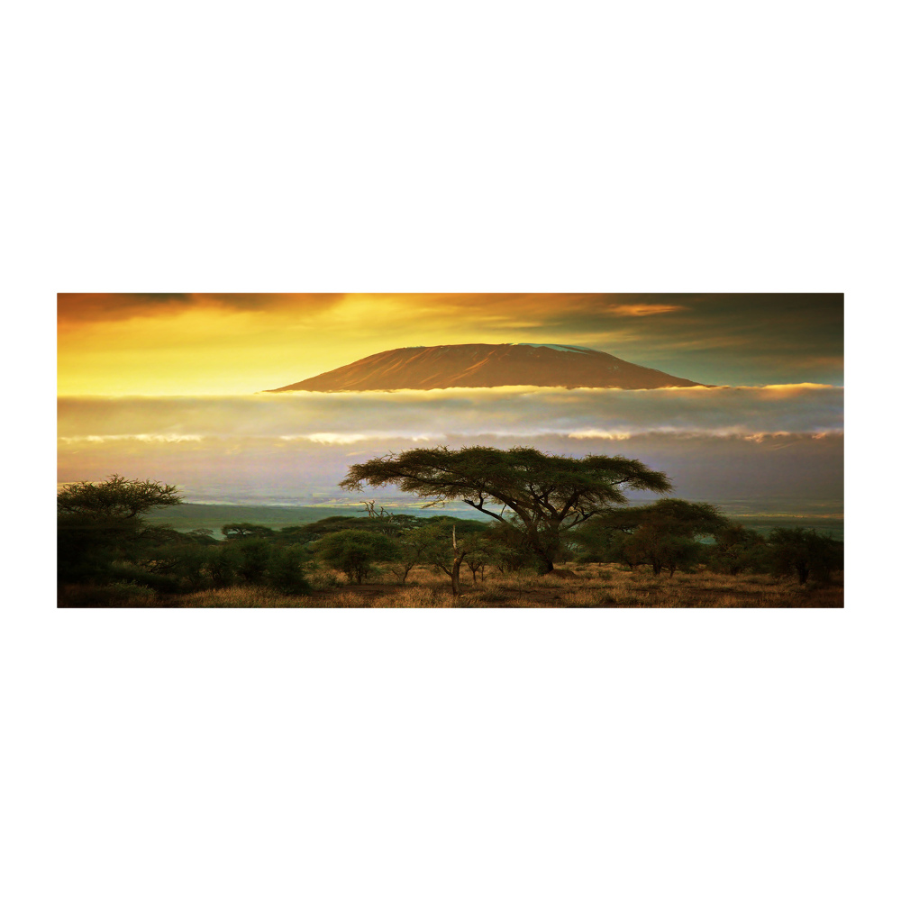 Print on acrylic Kilimanjaro Kenya