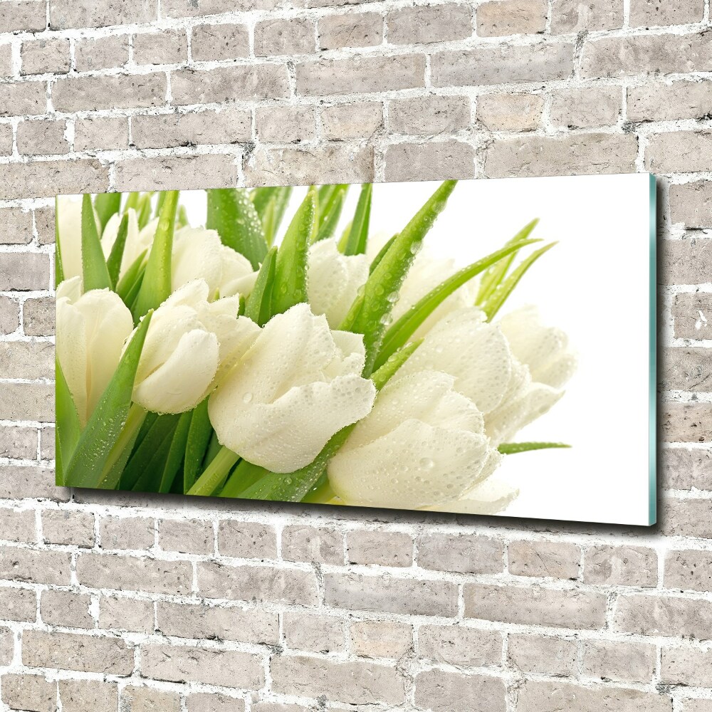 Print on acrylic White tulips