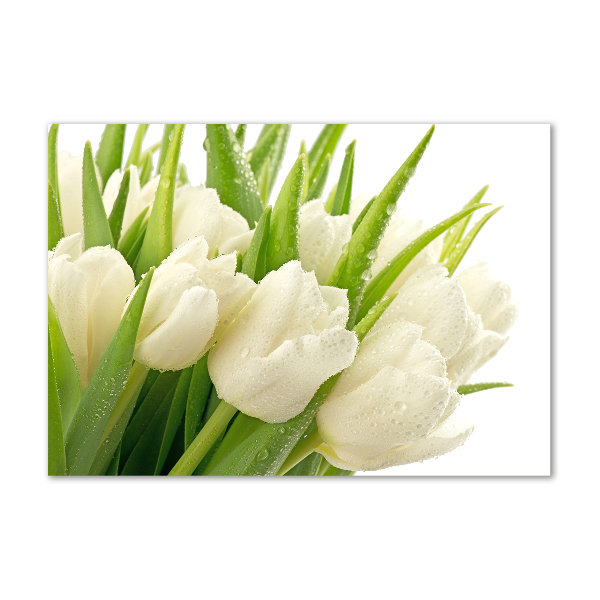 Print on acrylic White tulips