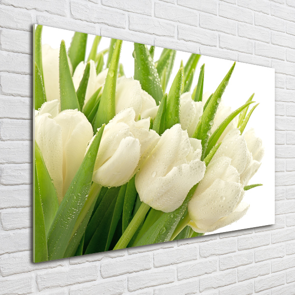 Print on acrylic White tulips