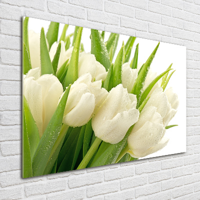 Print on acrylic White tulips