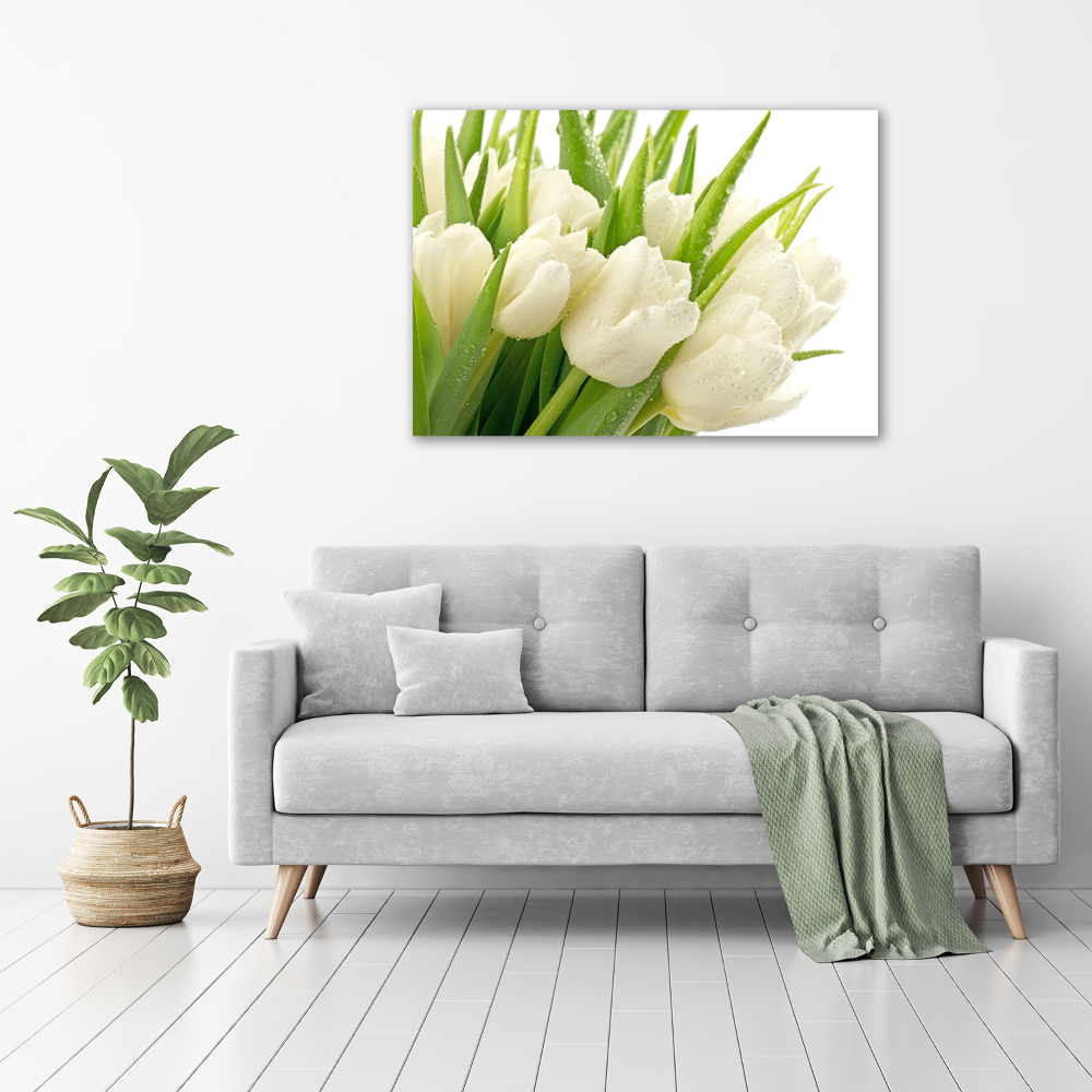 Print on acrylic White tulips