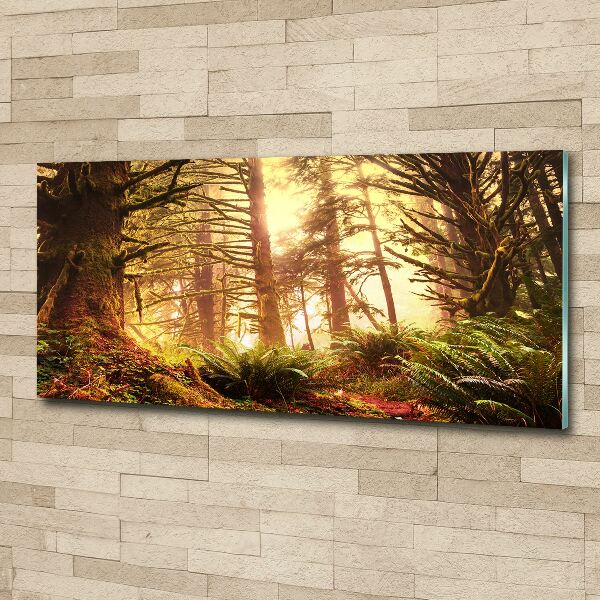 Print on acrylic the rainforest