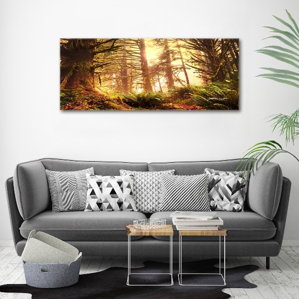 Print on acrylic the rainforest