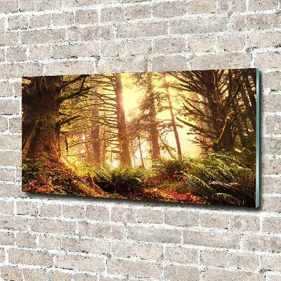 Print on acrylic the rainforest