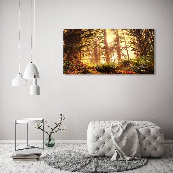 Print on acrylic the rainforest