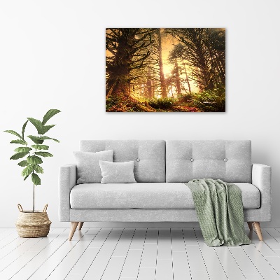 Print on acrylic the rainforest