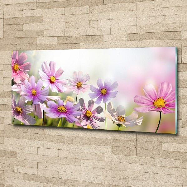 Print on acrylic Flowers in the meadow