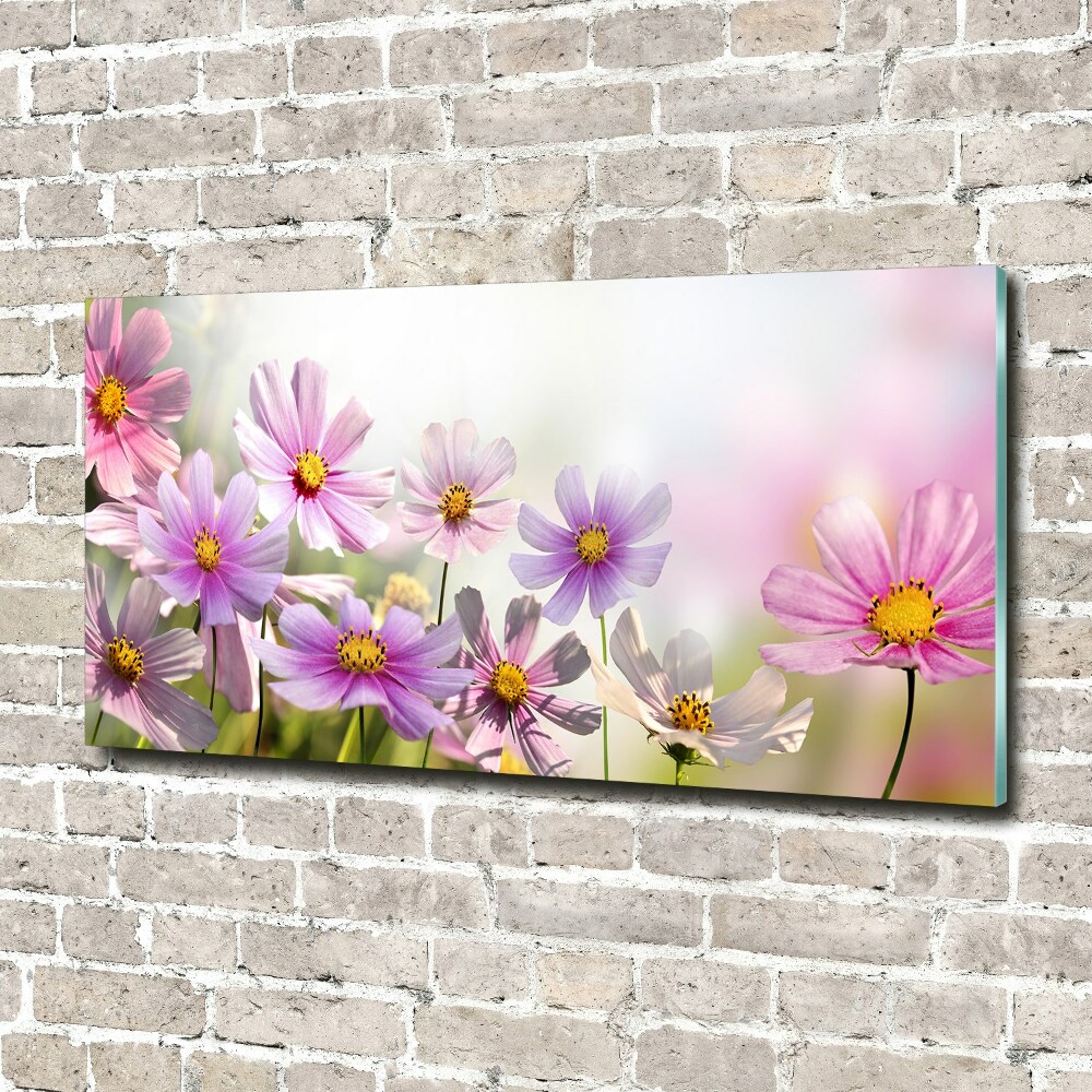 Print on acrylic Flowers in the meadow