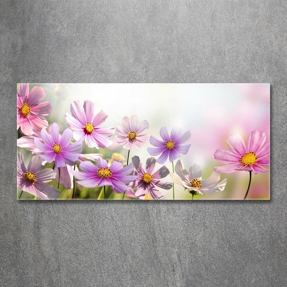 Print on acrylic Flowers in the meadow