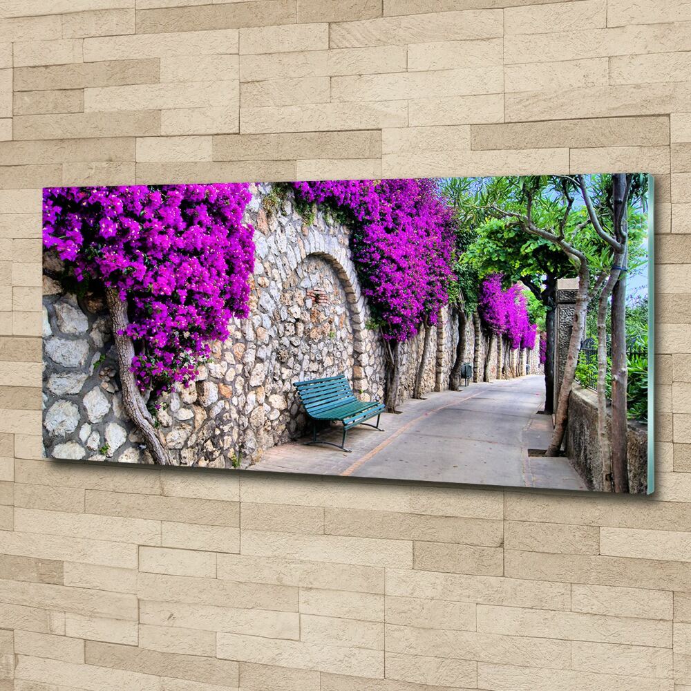 Acrylic wall art Charming streets