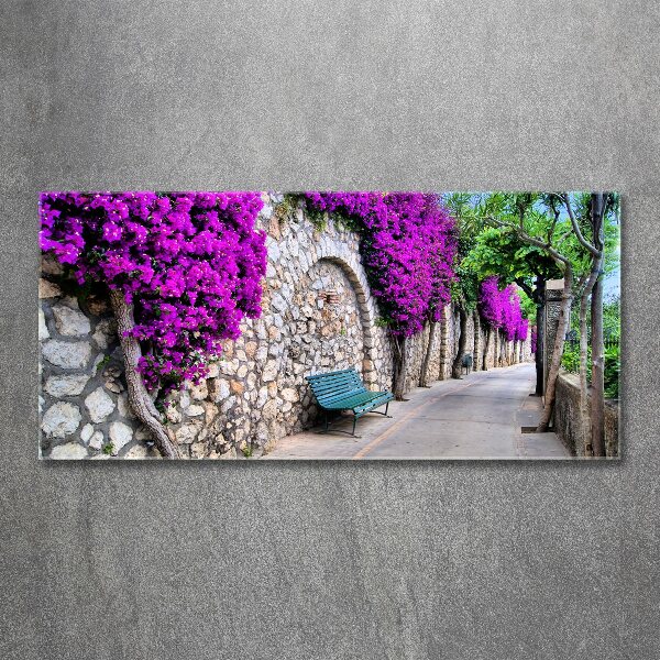 Acrylic wall art Charming streets