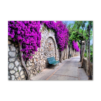 Acrylic wall art Charming streets