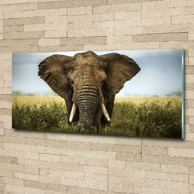 Acrylic wall art Elephant in the savanna