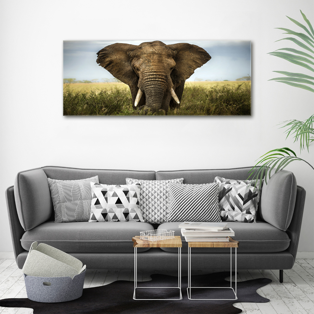 Acrylic wall art Elephant in the savanna