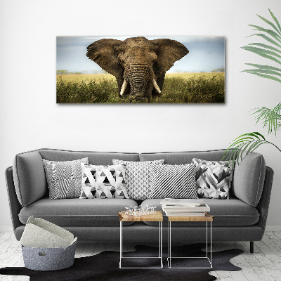 Acrylic wall art Elephant in the savanna