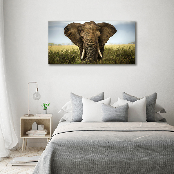 Acrylic wall art Elephant in the savanna