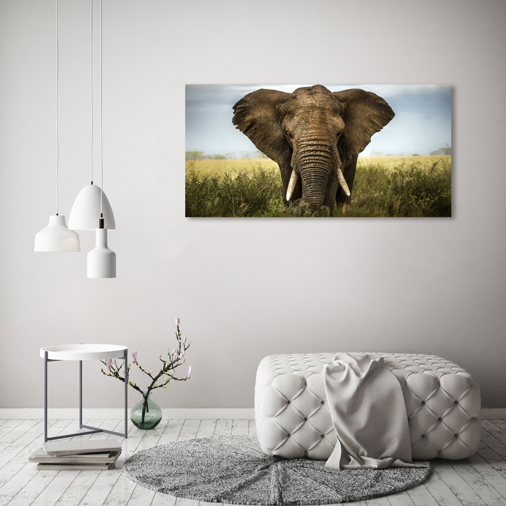 Acrylic wall art Elephant in the savanna