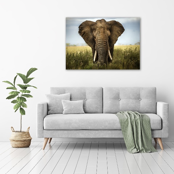 Acrylic wall art Elephant in the savanna