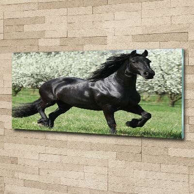 Acrylic wall art Black horse flowers