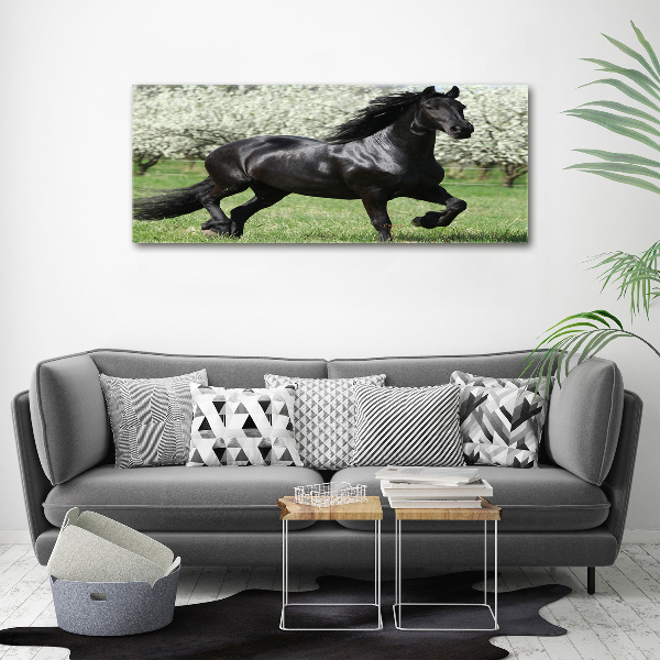 Acrylic wall art Black horse flowers