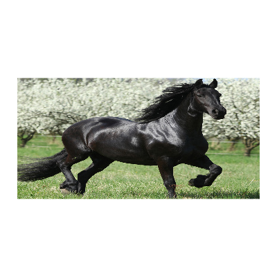 Acrylic wall art Black horse flowers