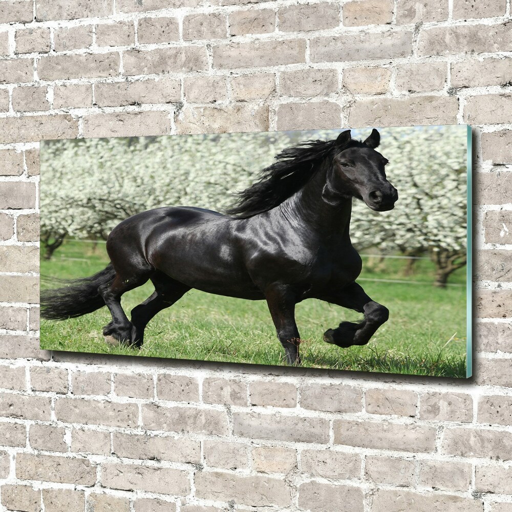 Acrylic wall art Black horse flowers