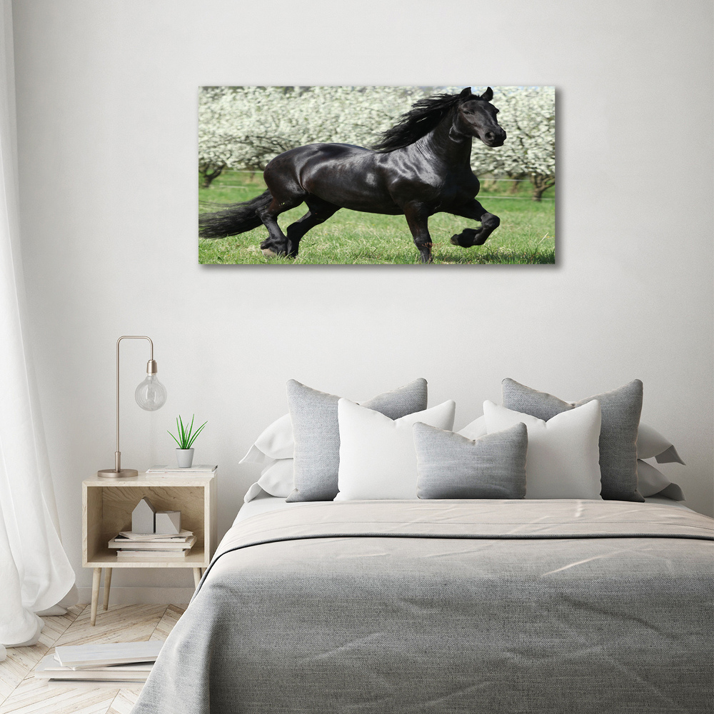 Acrylic wall art Black horse flowers