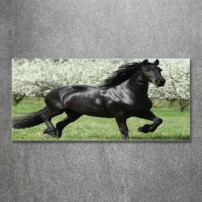 Acrylic wall art Black horse flowers