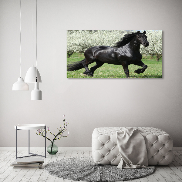 Acrylic wall art Black horse flowers