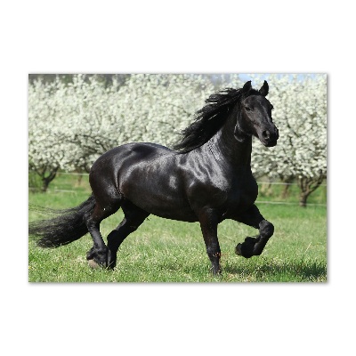 Acrylic wall art Black horse flowers