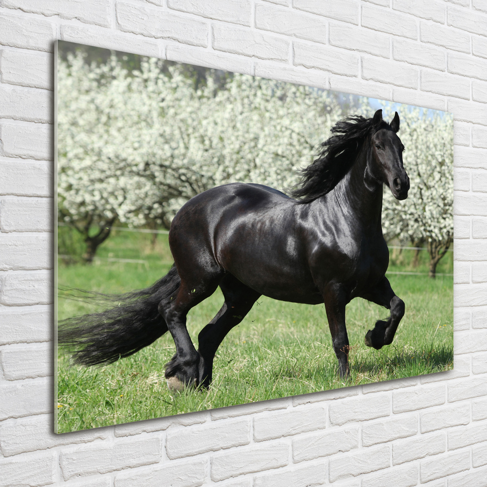 Acrylic wall art Black horse flowers