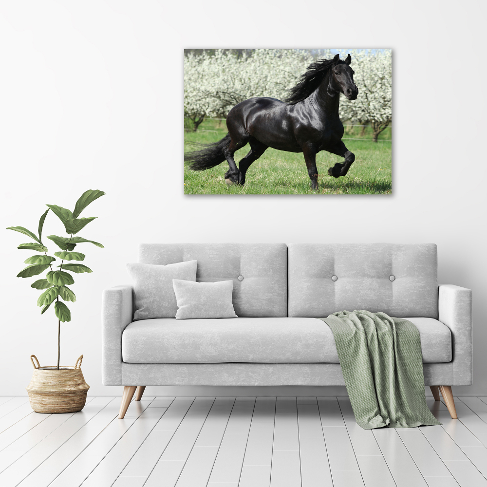 Acrylic wall art Black horse flowers