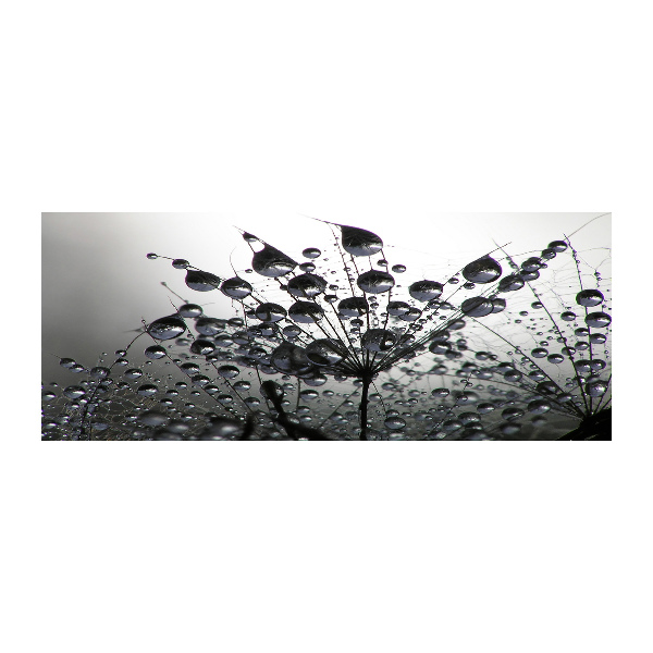 Wall art acrylic Dandelion seeds