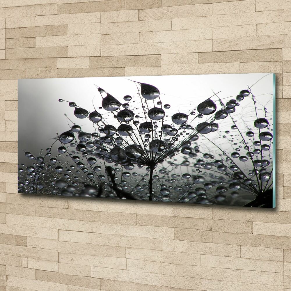 Wall art acrylic Dandelion seeds