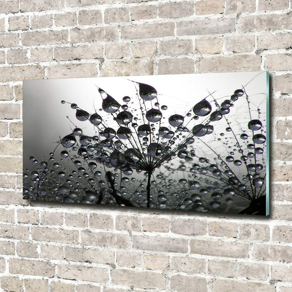 Wall art acrylic Dandelion seeds