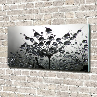 Wall art acrylic Dandelion seeds