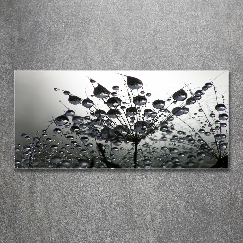 Wall art acrylic Dandelion seeds