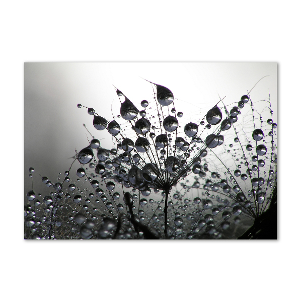 Wall art acrylic Dandelion seeds