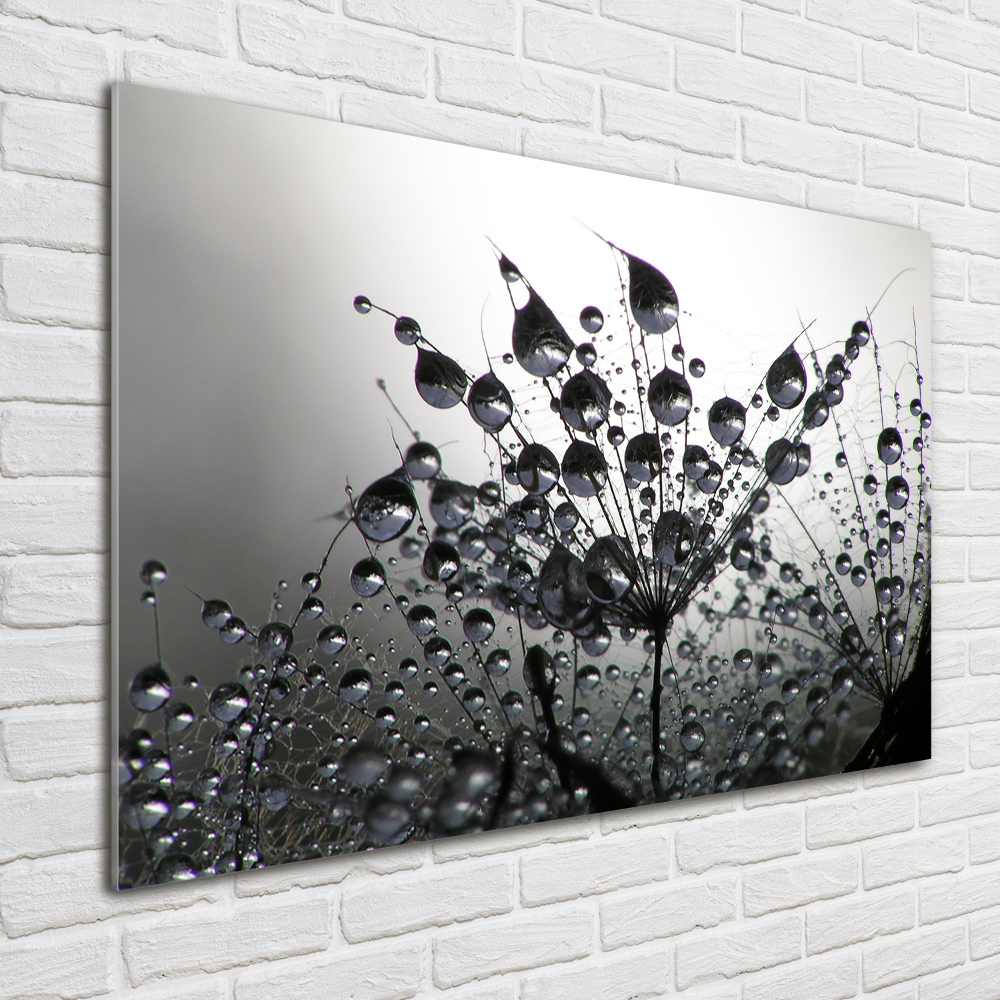 Wall art acrylic Dandelion seeds