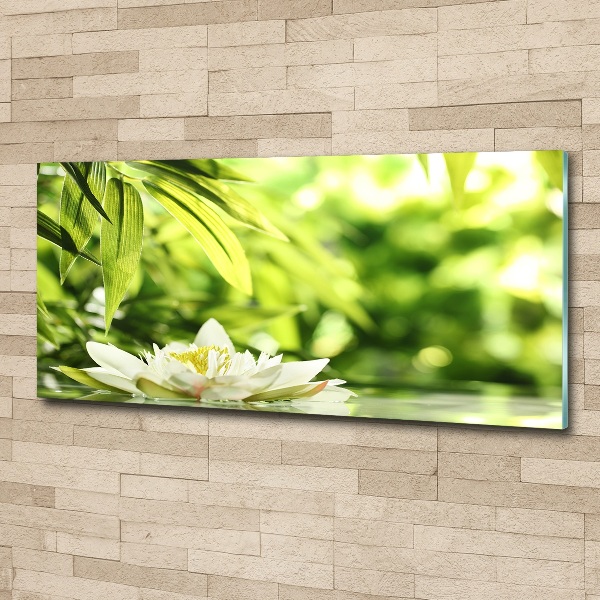 Acrylic wall art water lily