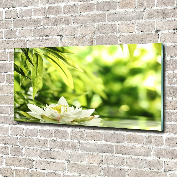 Acrylic wall art water lily